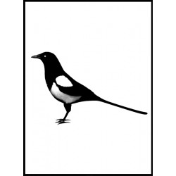 Magpie Poster