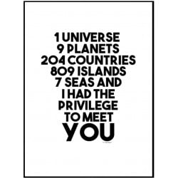 Privilege Poster
