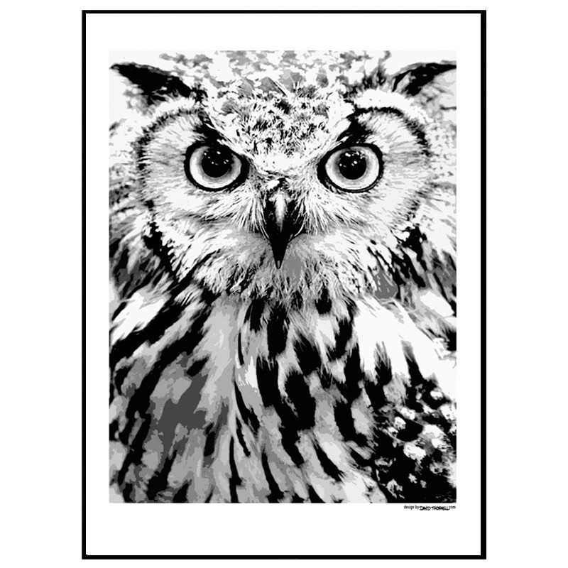 The Owl Poster. Köp inredning online hos Wallstars! Snabba leveranser.