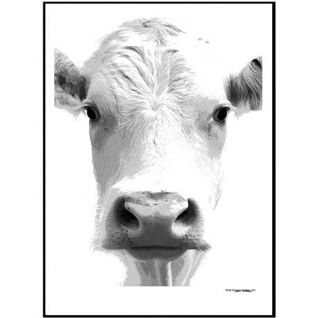 Cow Face Poster