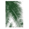 Miami Palms Poster