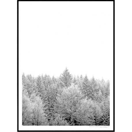 Winter Forest Poster
