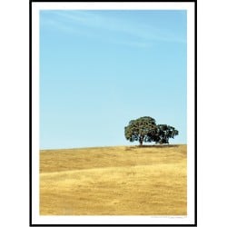 California Trees Poster