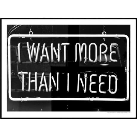 I Want More Than I Need 