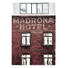 Madrona Poster