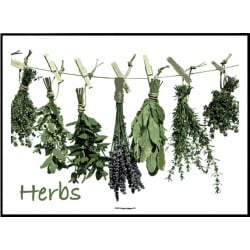 Herbs Cart Poster