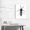 Wasp Poster