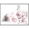 Roses Pink Poster