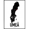 Umeå Heart 