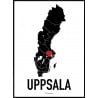 Uppsala Heart