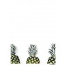 Triple Pineapple 