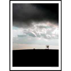 Lonely Tree Poster