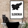 Slovenien Karta