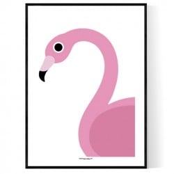 Flamingo Zoom