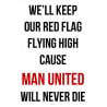 Man United Flag 