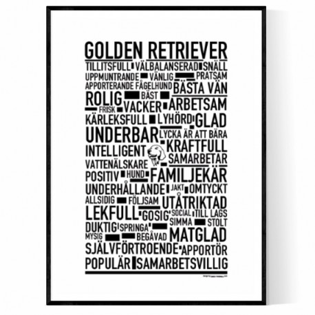 Golden Retriever Poster