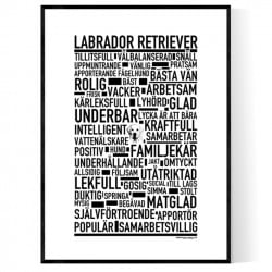Labrador Poster