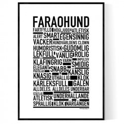 Faraohund Poster