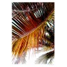Brickell Palms Poster