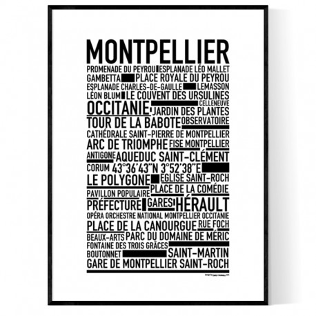 Montpellier Poster