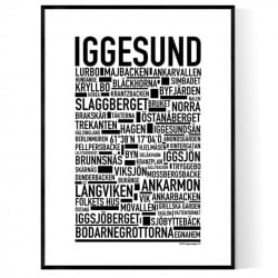 Iggesund Poster
