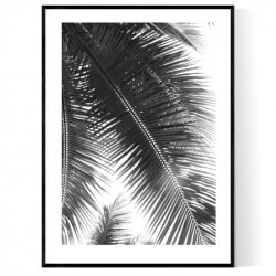 Miami Palms Blk