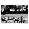 Cafe De Flore Paris
