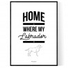 Labrador Home Poster