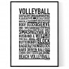 Volleyball Poster