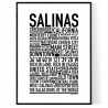 Salinas Poster