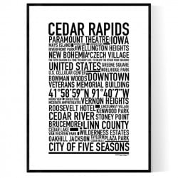 Cedar Rapids Poster