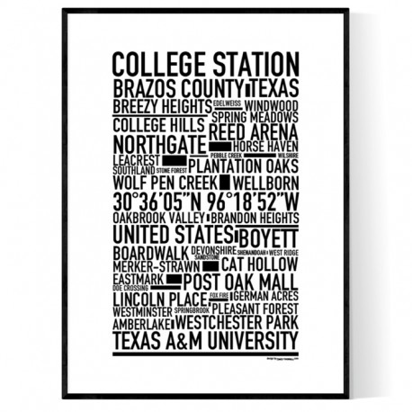 College Station Poster
