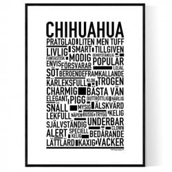 Chihuahua Poster
