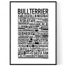 Bullterrier Poster
