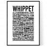 Whippet Poster