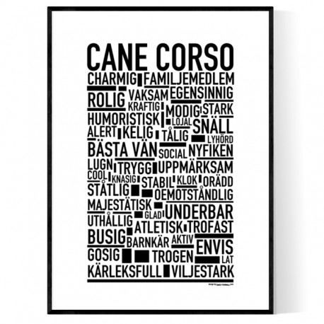 Cane Corso Poster