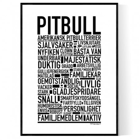 Pitbull Poster