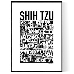 Shih Tzu Poster