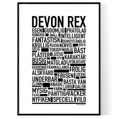 Devon Rex Poster