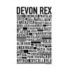 Devon Rex Poster