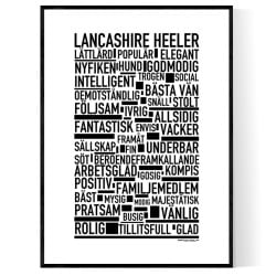 Lancashire Heeler Poster
