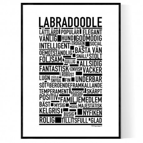 Labradoodle Poster