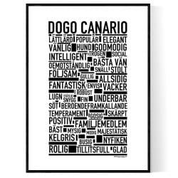 Dogo Canario Poster