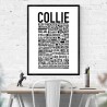 Collie Poster