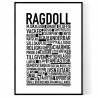 Ragdoll Poster