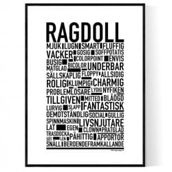 Ragdoll Poster