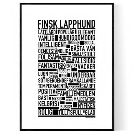 Finsk Lapphund Poster