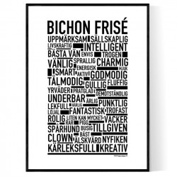 Bichon Frisé Poster
