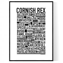 Cornish Rex Poster