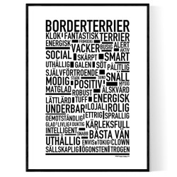 Borderterrier Poster